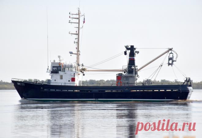 Обновление прибрежного рыболовного флота: почему мало желающих строить? Первым получателем субсидии в рамках программы поддержки развития малого и среднего рыбопромыслового флота стало ООО Дельта Фиш ЛТД. В 2020 году камчатская компания получила 27,3 млн руб – около трети расходов на строительство рыболовного сейнера проекта 1338. Всего в списке потенциальных участников программы значится около десятка компаний, причем, часть из них имеют общие корни. Мы попытались выяснит...