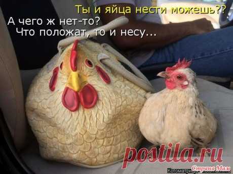 Ти яйце нести можеш? - А ты сегодня улыбался? - Страна Мам