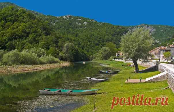 Momir Matkovic - Momir Matkovics Fotos | Facebook