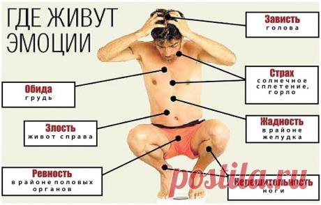 40% всех болезней от нервов. Как эмоции влияют на наше здоровье и что делать
Стоит нам слегка отпустить вожжи, и мозг начинает колотить наш бедный организм гормональной кувалдой. Нервные болячки – это не мистическое воздаяние за грехи наши, а выхлоп от химических реакций, бес…
