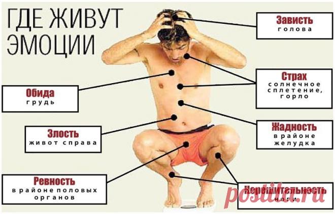 40% всех болезней от нервов. Как эмоции влияют на наше здоровье и что делать 
Стоит нам слегка отпустить вожжи, и мозг начинает колотить наш бедный организм гормональной кувалдой. Нервные болячки – это не мистическое воздаяние за грехи наши, а выхлоп от химических реакций, бес…