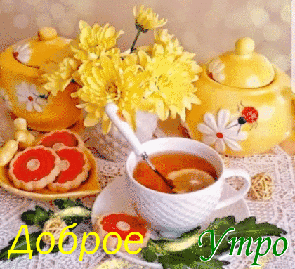 Доброе  Утро