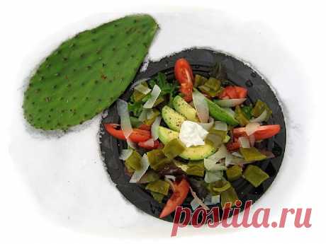 Кактус НОПАЛЬ (Nopal) – полезная ОПУНЦИЯ! Как готовить? | Юлия Мирошниченко (Lalaka) | Дзен