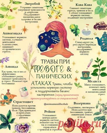 Травы для успокоения нервной системы