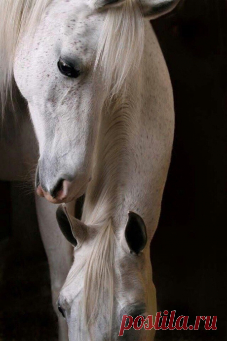 ღ