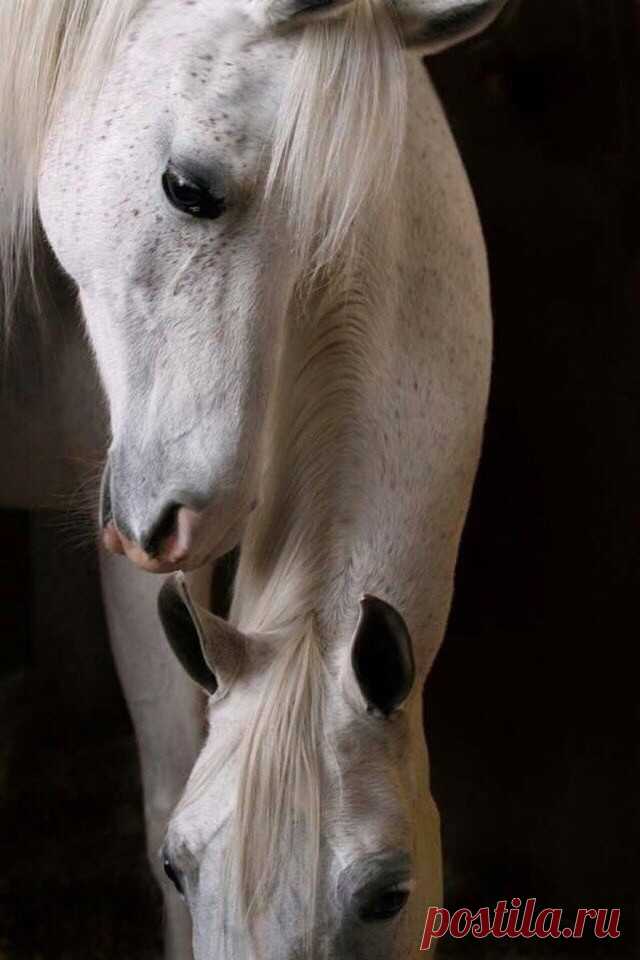 ღ