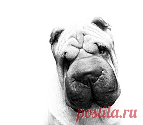 Lookwork on Stylowi.pl