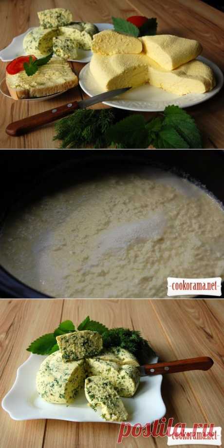 Закусочный сыр .
