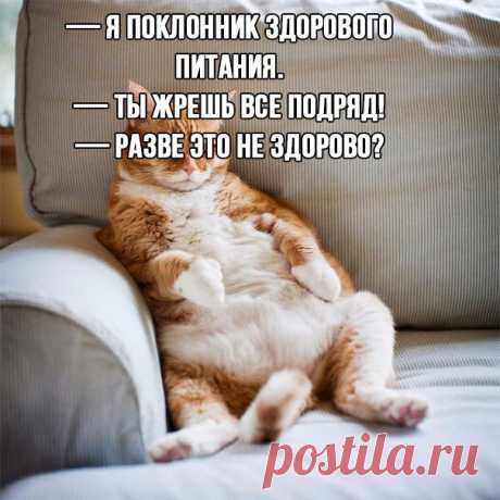 Худеем к лету: самые смешные мемы о похудении | Краше Всех