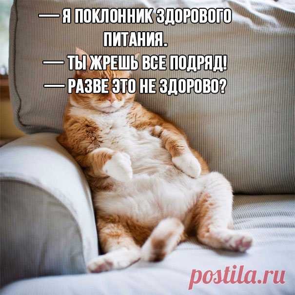 Худеем к лету: самые смешные мемы о похудении | Краше Всех