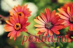 Аффирмации на Каждый День / 11 октября 2015 г. - svetlana.vashuk61@mail.ru - Почта Mail.Ru