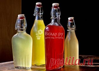 Брага из варенья для самогона: пропорции, рецепты Самогон из варенья в домашних условиях: пропорции и способы приготовления. Рецепт браги из варенья для питья, какое варенье нельзя использовать