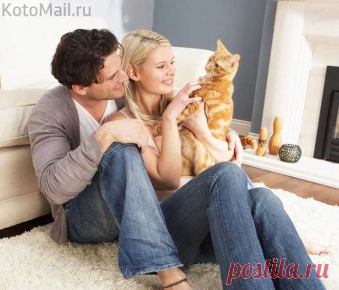 Мы в ответе за тех кого приручили
