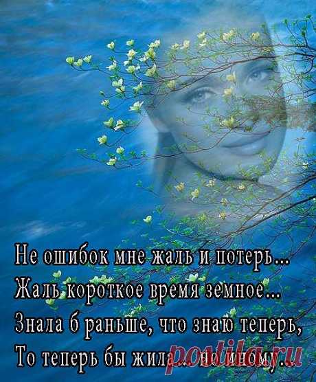 Открытка