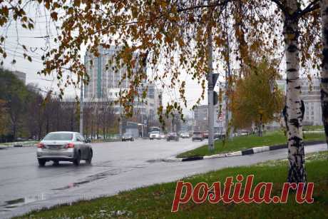Новокузнецк
Владислав Башлыков
