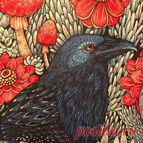 Angela Rizza, The Book of Beasts #book #libro #livre #beast #bestia #colori #colours #color #red #rojo #rouge #rot #rosso #angelarizza #arte #arte #kunst #fit #bird #uccello #oiseau #pajero #fiori #flowers #fleurs #flores #feathers #beauty #bellezza #belleza