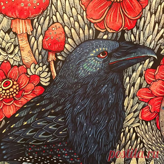 Angela Rizza, The Book of Beasts #book #libro #livre #beast #bestia #colori #colours #color #red #rojo #rouge #rot #rosso #angelarizza #arte #arte #kunst #fit #bird #uccello #oiseau #pajero #fiori #flowers #fleurs #flores #feathers #beauty #bellezza #belleza
