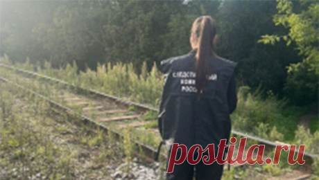 В Ярославской области девятилетний мальчик попал под тепловоз и выжил. В Ярославской области следователи устанавливают обстоятельства травмирования несовершеннолетнего на железной дороге, мальчик попал под маневровый тепловоз. Об этом сообщает Западное межрегиональное СУ на транспорте СК РФ. Инцидент ...