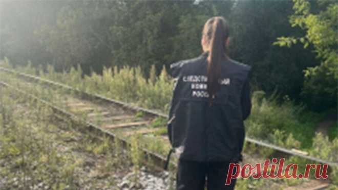 В Ярославской области девятилетний мальчик попал под тепловоз и выжил. В Ярославской области следователи устанавливают обстоятельства травмирования несовершеннолетнего на железной дороге, мальчик попал под маневровый тепловоз. Об этом сообщает Западное межрегиональное СУ на транспорте СК РФ. Инцидент ...