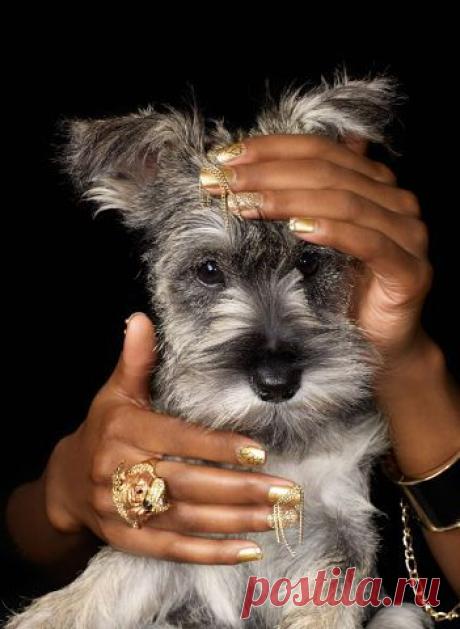 ЭМИЛИЯ -  ПОКОЙ  И  РАДОСТЬ.
ЭМИЛИЯ ЮНГ