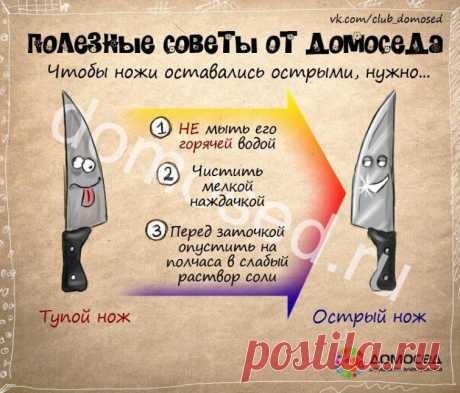 25 советов на все случаи жизни, которые пригодятся каждому
