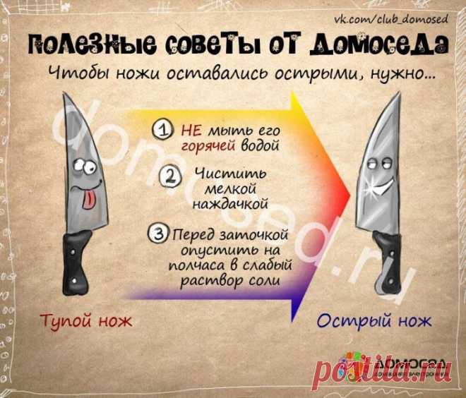 25 советов на все случаи жизни, которые пригодятся каждому