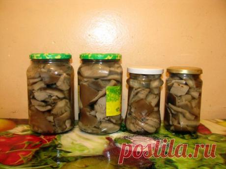 МАРИНОВАННЫЕ ГРИБЫ.