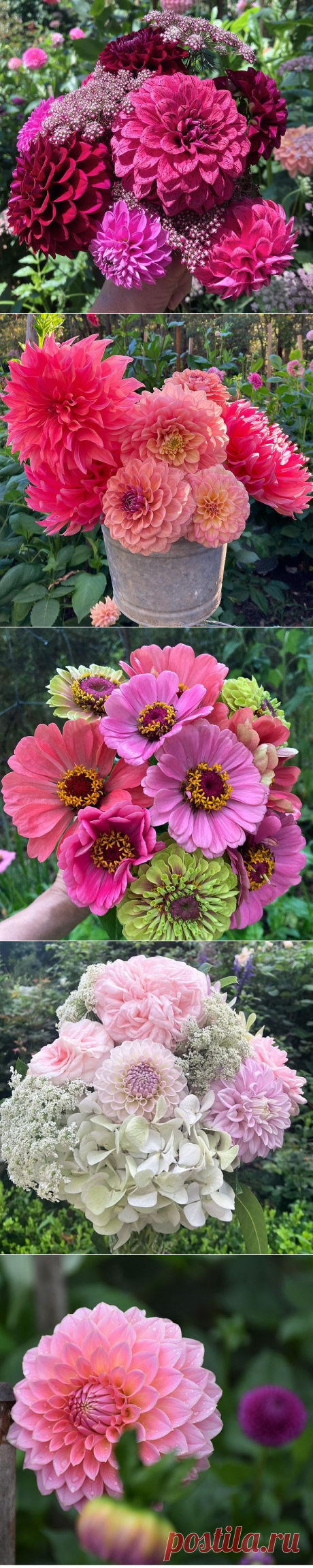 Carolynn Manners (@carolynnmanners_gardens) • Фото и видео в Instagram