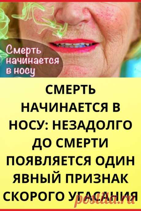 Смерть начинается в носy: незадолго до смерти появляется один явный признак скорого угасания