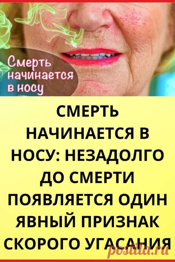 Смерть начинается в носy: незадолго до смерти появляется один явный признак скорого угасания