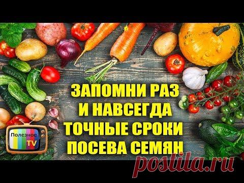 ЗАПОМНИ РАЗ И НАВСЕГДА ТОЧНЫЕ СРОКИ ПОСЕВА ОВОЩНЫХ КУЛЬТУР