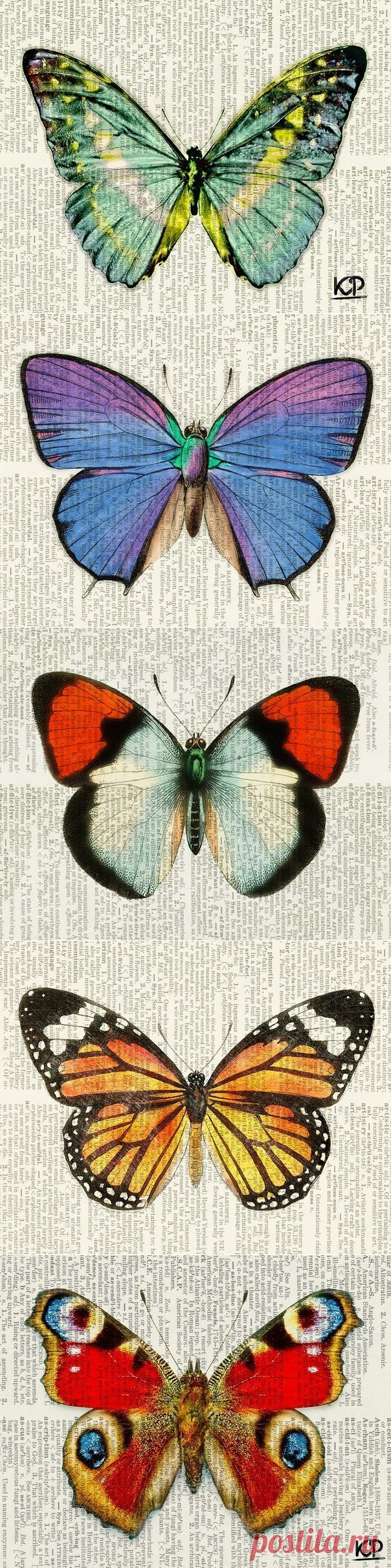 Бабочки / Рукоделие