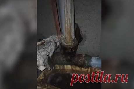 В российском поселке протекающую в многоэтажном доме трубу заклеили скотчем. В населенном пункте Редукторный (Республика Дагестан) протекающую в девятиэтажном доме трубу заклеили скотчем. Внимание на ситуацию в российском поселке обратил Telegram-канал Mash. По словам жительницы квартиры на верхнем этаже проблемного дома, их затапливает каждый раз после дождя на протяжении 20 лет.