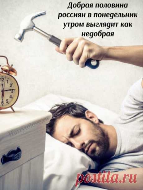 Картинки с понедельником: прикольные и смешные открытки с надписями