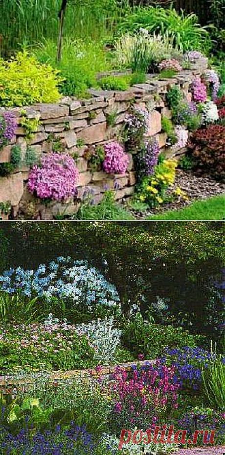 клумба на склоне | Дачное царство