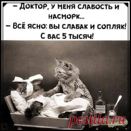 Одноклассники
