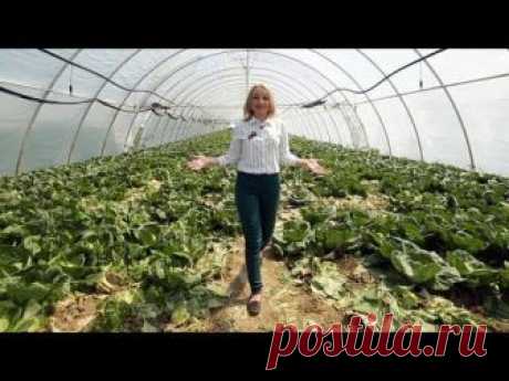 Заречье: полиэтиленовая долина | #ВУКРАИНЕ