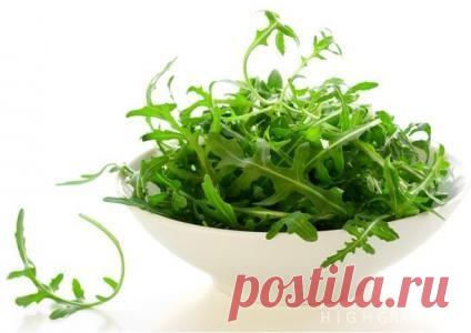 Что такое рукола