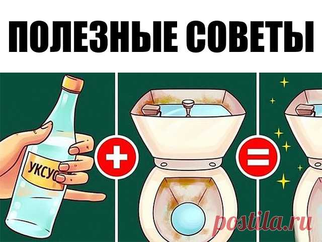 ПОЛЕЗНЫЕ СОВЕТЫ

1. Если налить уксус в бачок и смыть, он капитально почистит унитаз от грязи, бактерий и даже плесени. Плюс, можете проложить его туалетной бумагой, смоченной в уксусе. 
2. Черный чай из трех пакетиков на стакан воды — отличная эко-замена средству для мытья стекол. 
3. Смешайте пополам уксус и жидкость для мытья посуды, и вы отмоете любое пятно в ванной комнате. 
4. Пятна от воды и известковый налет легко удаляются с помощью кусочка обычного лимона. 
5. Бо...