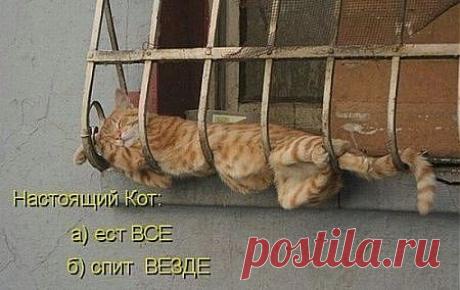 Мой Мир@Mail.Ru