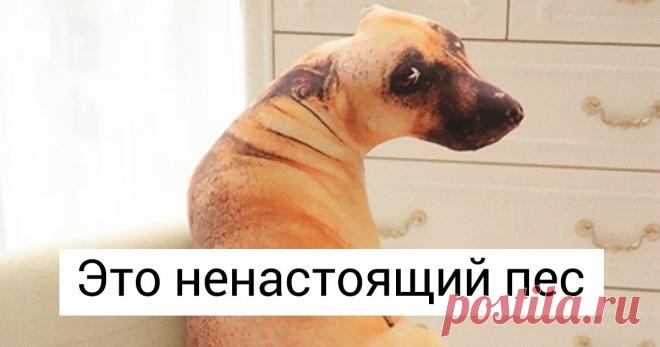 20 милых мелочей для дома, которые создадут уют и настроение одним своим присутствием