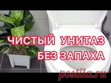 Бросьте ЭТО в ТУАЛЕТ и Он ВСЕГДА Будет ЧИСТЫМ и ПАХНУТЬ СВЕЖЕСТЬЮ!