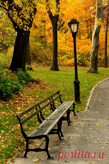 New York City Color | Flickr - Photo Sharing!