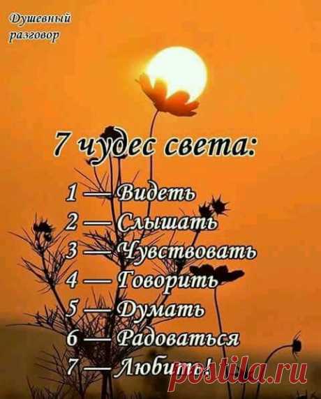 (1) Facebook