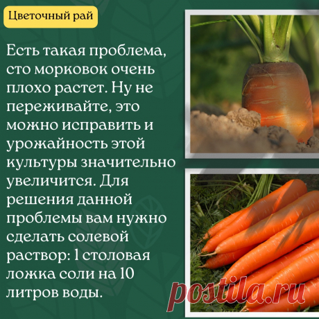 p7Z51TnrQiTaAF3QlFPNPZcmAQqCBFvxNVSvOpmSDbwBrDrD4BU1mYLjJ9FikxI6Z7428Tk2d9vU6bsnjZqQsHNX.jpg (1080×1080)