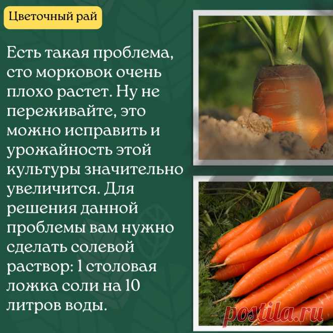 p7Z51TnrQiTaAF3QlFPNPZcmAQqCBFvxNVSvOpmSDbwBrDrD4BU1mYLjJ9FikxI6Z7428Tk2d9vU6bsnjZqQsHNX.jpg (1080×1080)