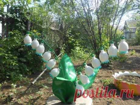 (75) Одноклассники