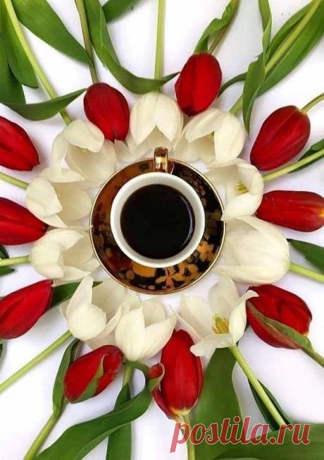 (44) Зина Таирова