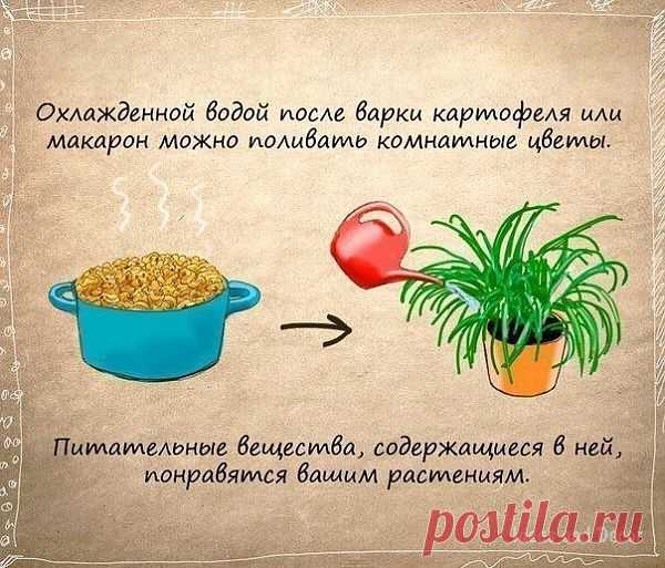 Фотографии на стене сообщества | 20 134 фотографии
