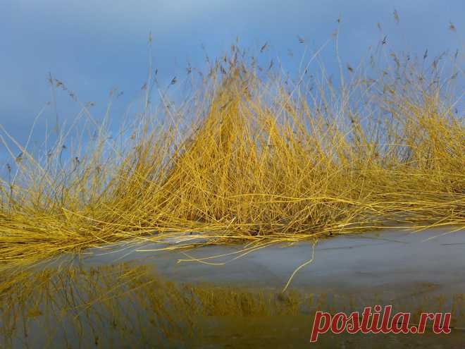 курский залив, весной